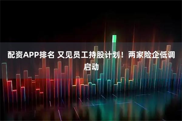 配资APP排名 又见员工持股计划！两家险企低调启动