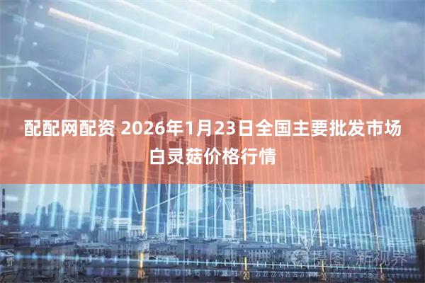 配配网配资 2026年1月23日全国主要批发市场白灵菇价格行情